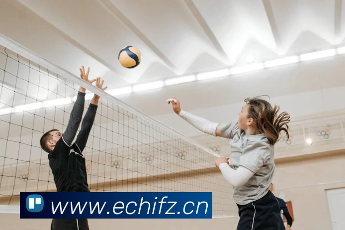 世界杯官方网络平台平台生态图